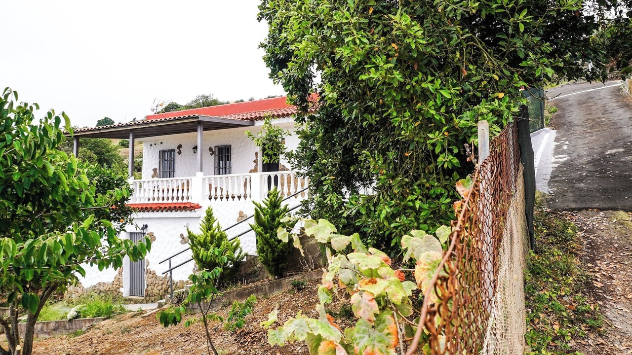 Photo of Others in La Orotava