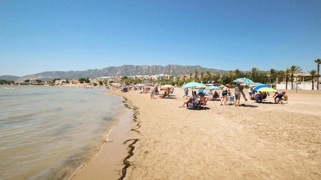 Photo of Others in Alcanar