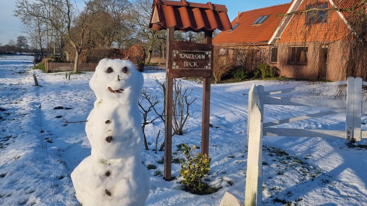 Photo of Outdoor in Backemoor