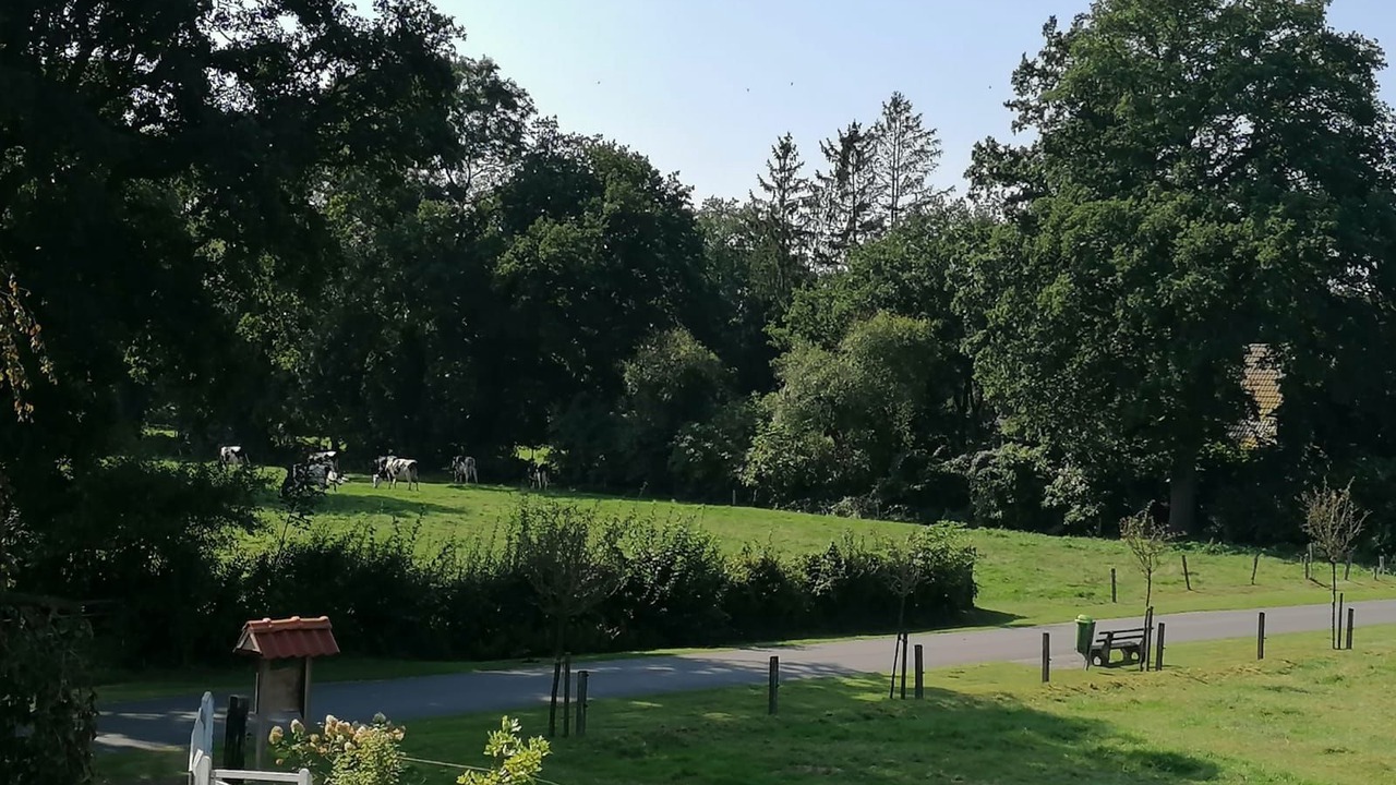 Photo of Others in Backemoor