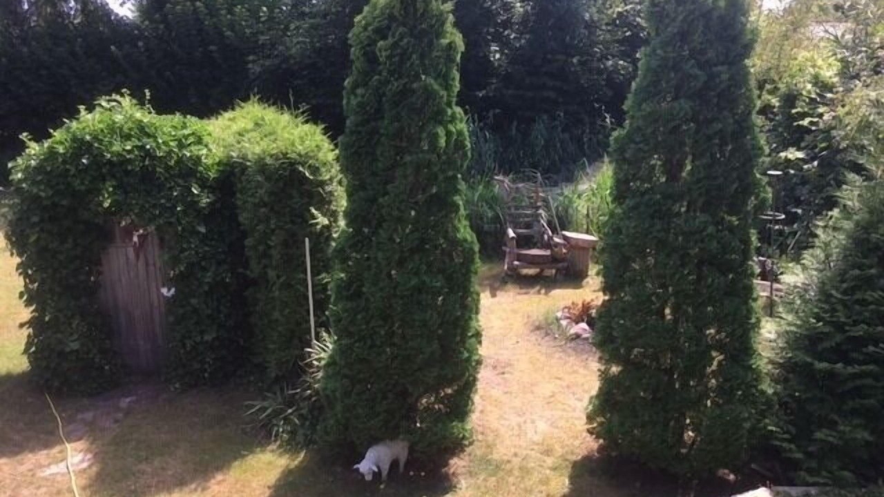 Photo of Outdoor in Schuby