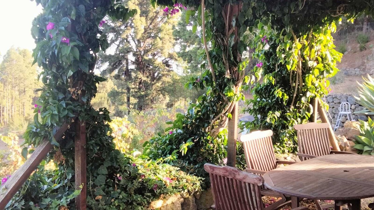 Photo of Outdoor in Icod de los Vinos