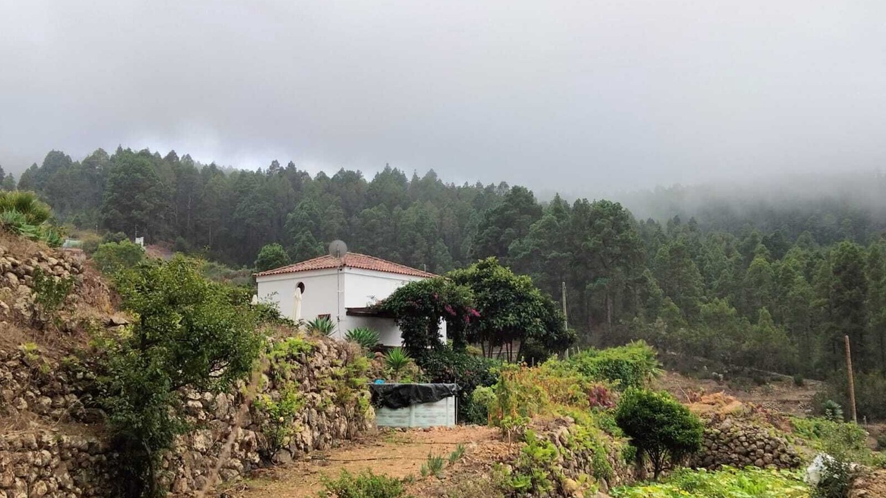 Photo of Others in Icod de los Vinos