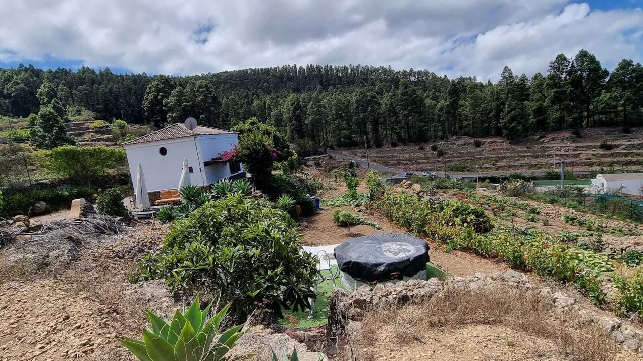 Photo of Outdoor in Icod de los Vinos