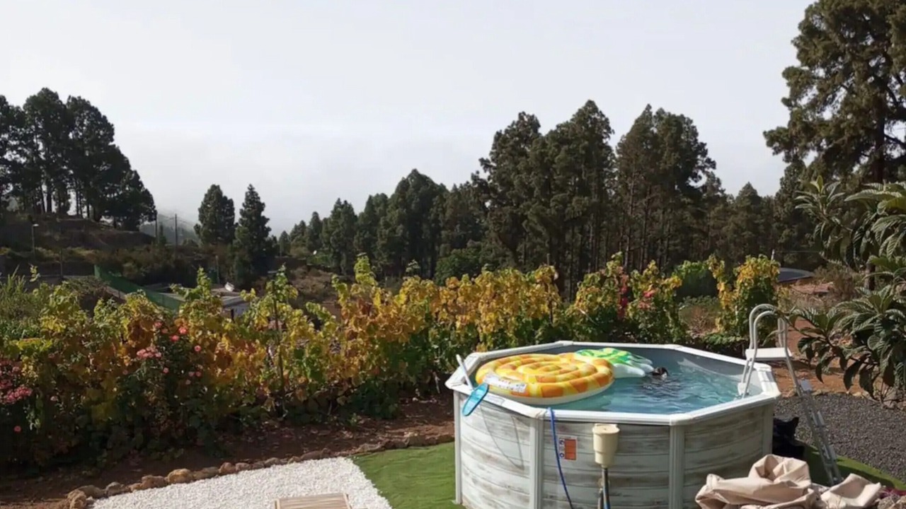 Photo of Outdoor in Icod de los Vinos