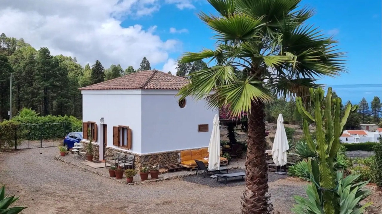 Photo of Outdoor in Icod de los Vinos