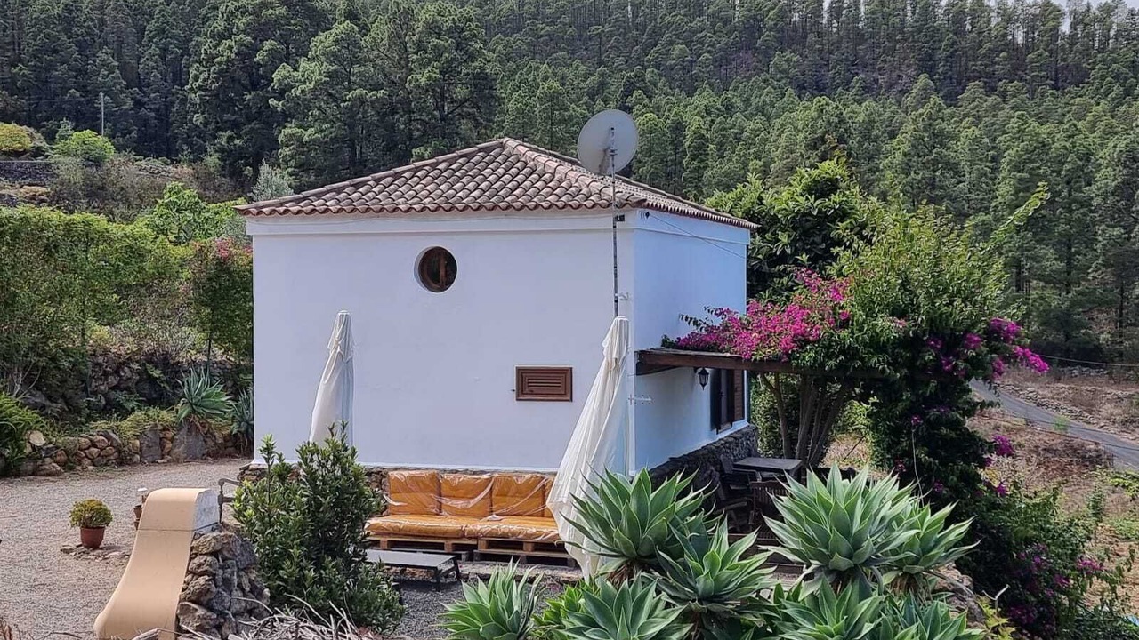 Photo of Outdoor in Icod de los Vinos