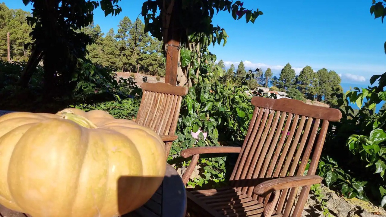 Photo of Outdoor in Icod de los Vinos