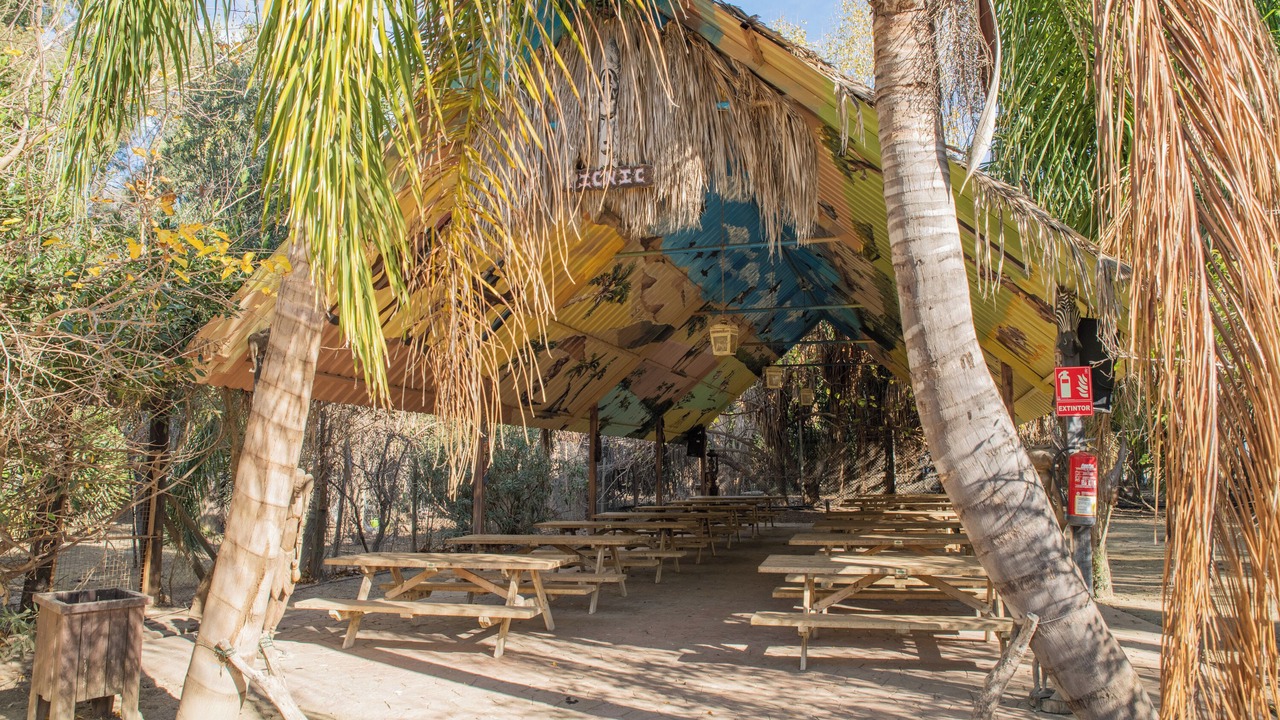 Photo of Outdoor in Los Angeles