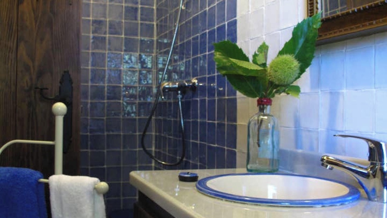 Photo of Bathroom in Monesterio