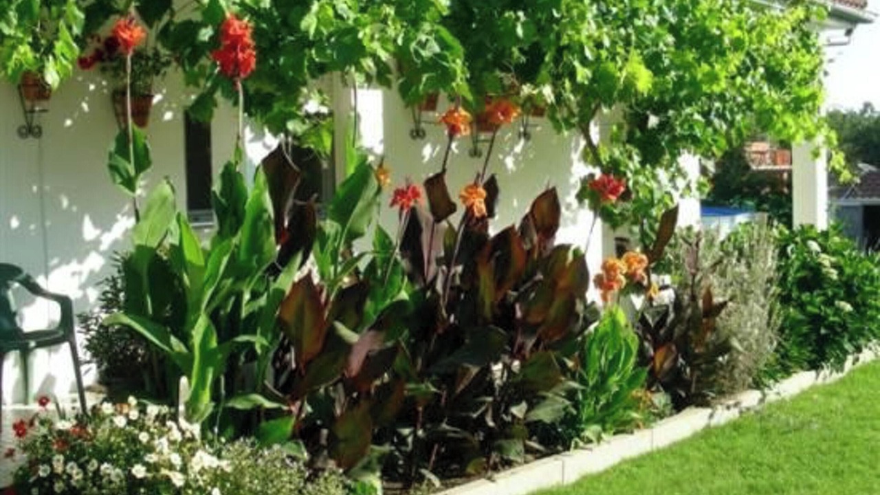 Photo of Outdoor in La Calzada de Bejar