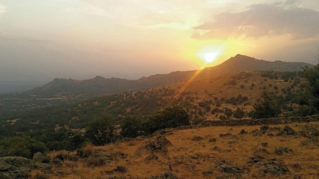 Photo of Others in La Hoya