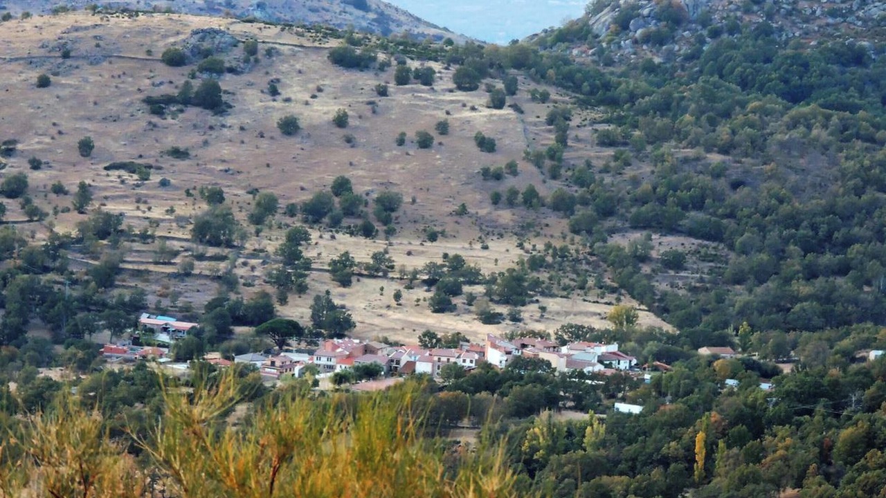 Photo of Others in La Hoya
