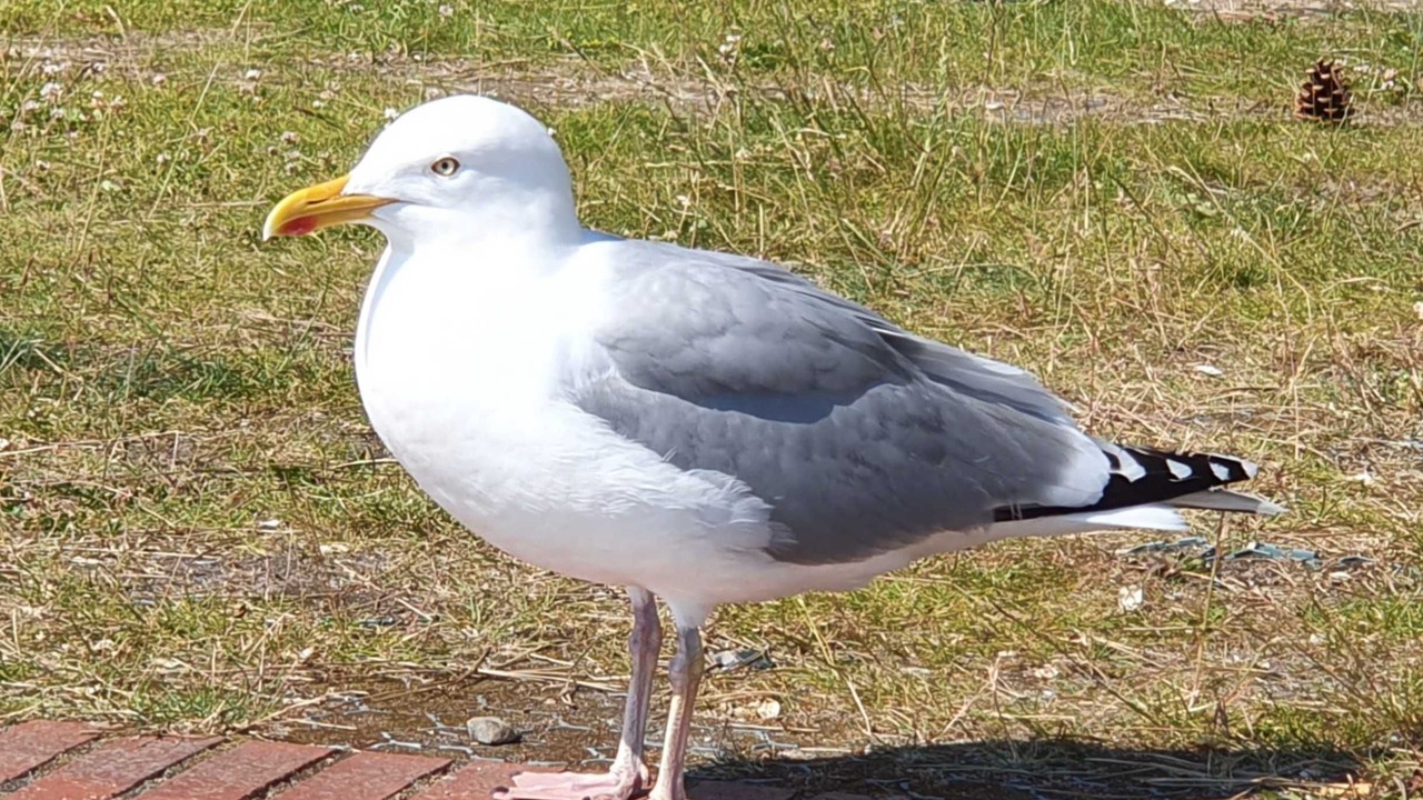 Photo of Others in Damp