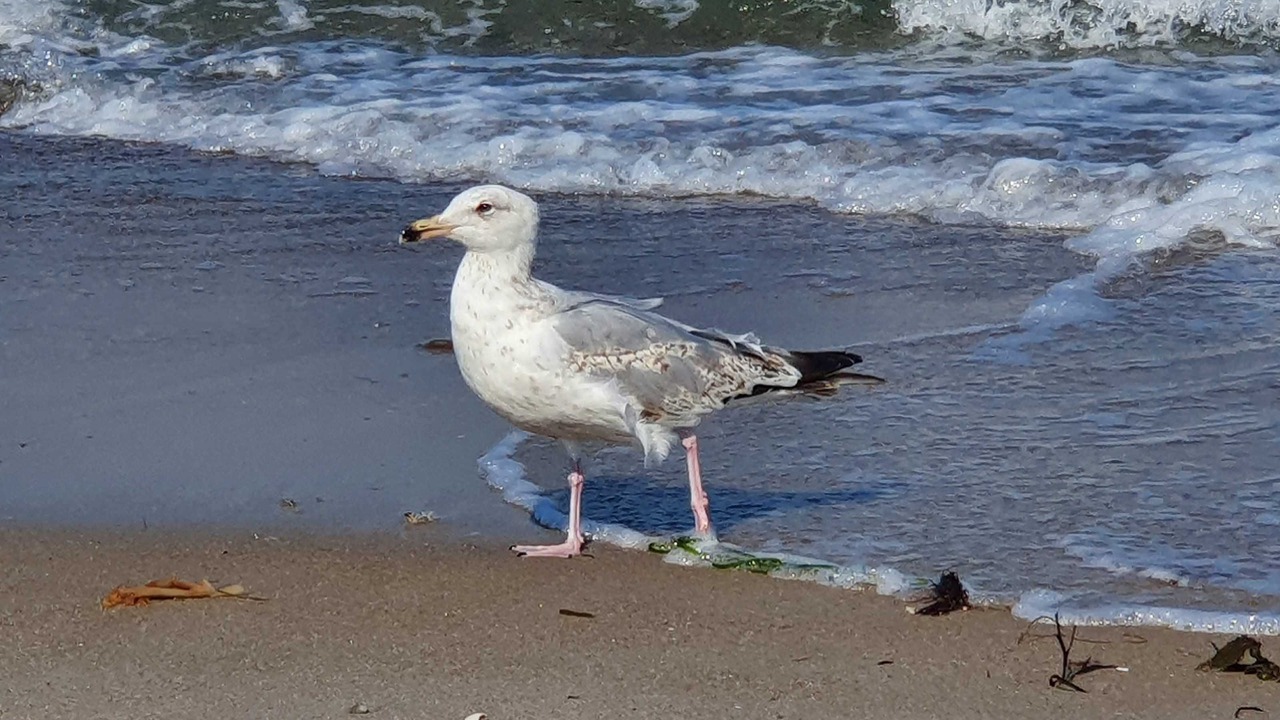 Photo of Others in Damp