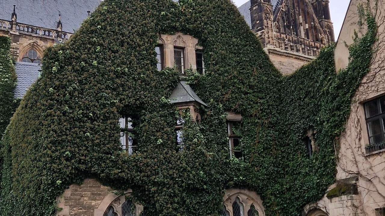 Photo of Outdoor in Magdeburg