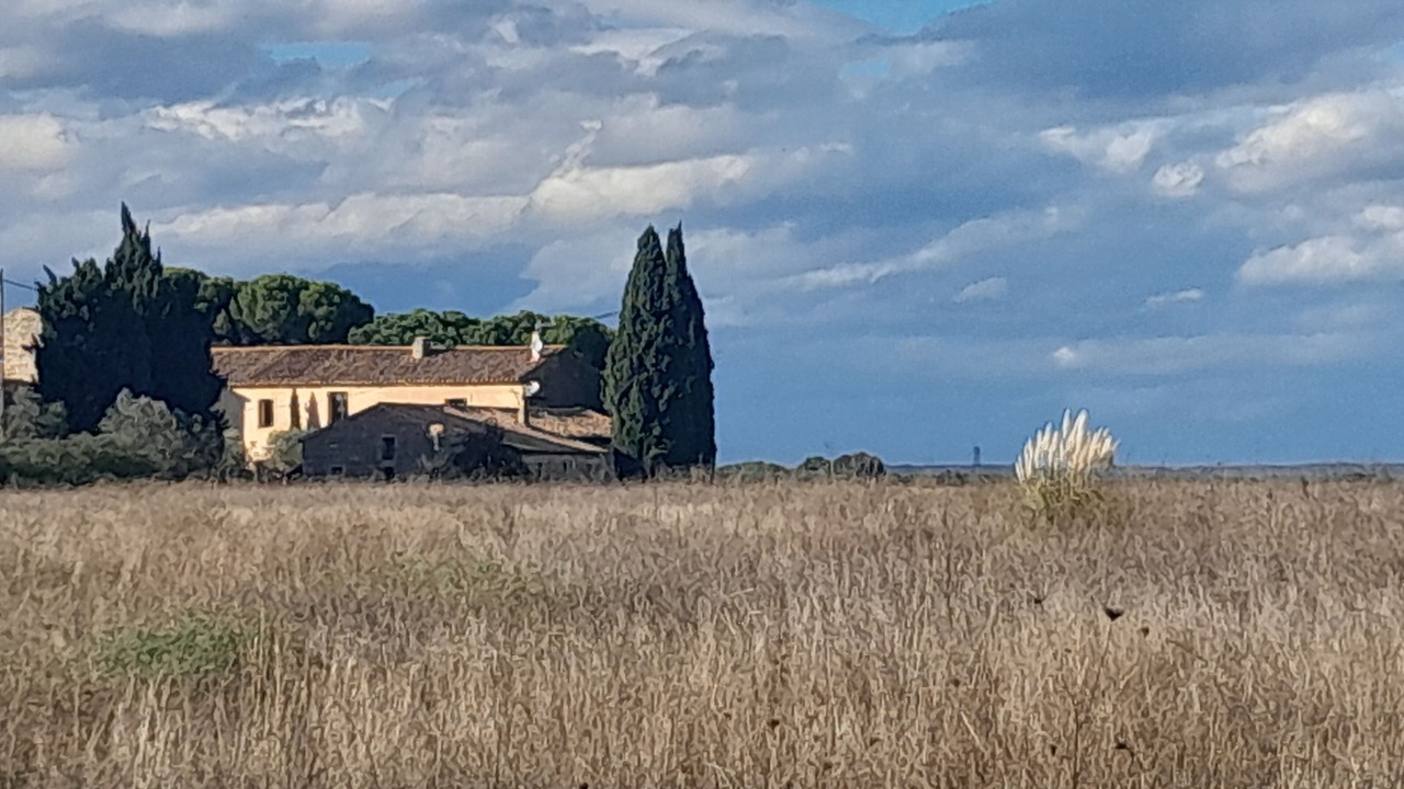 Photo of Outdoor in Manduel