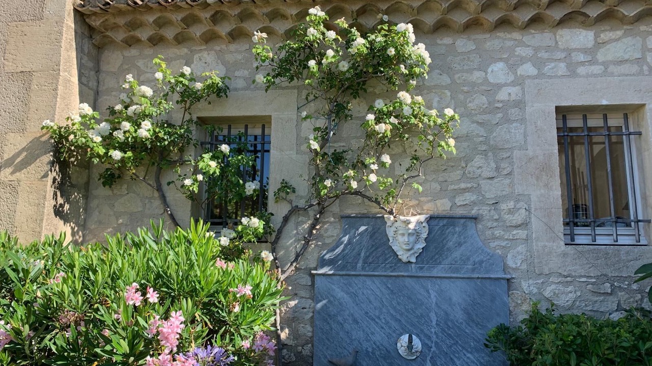 Photo of Outdoor in Paradou