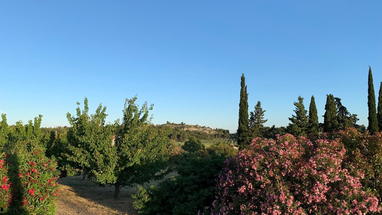 Photo of Others in Paradou