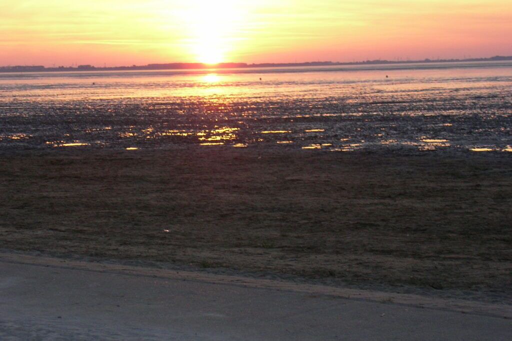 Photo of Others in Dangast