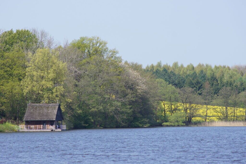 Photo of Others in Grebin