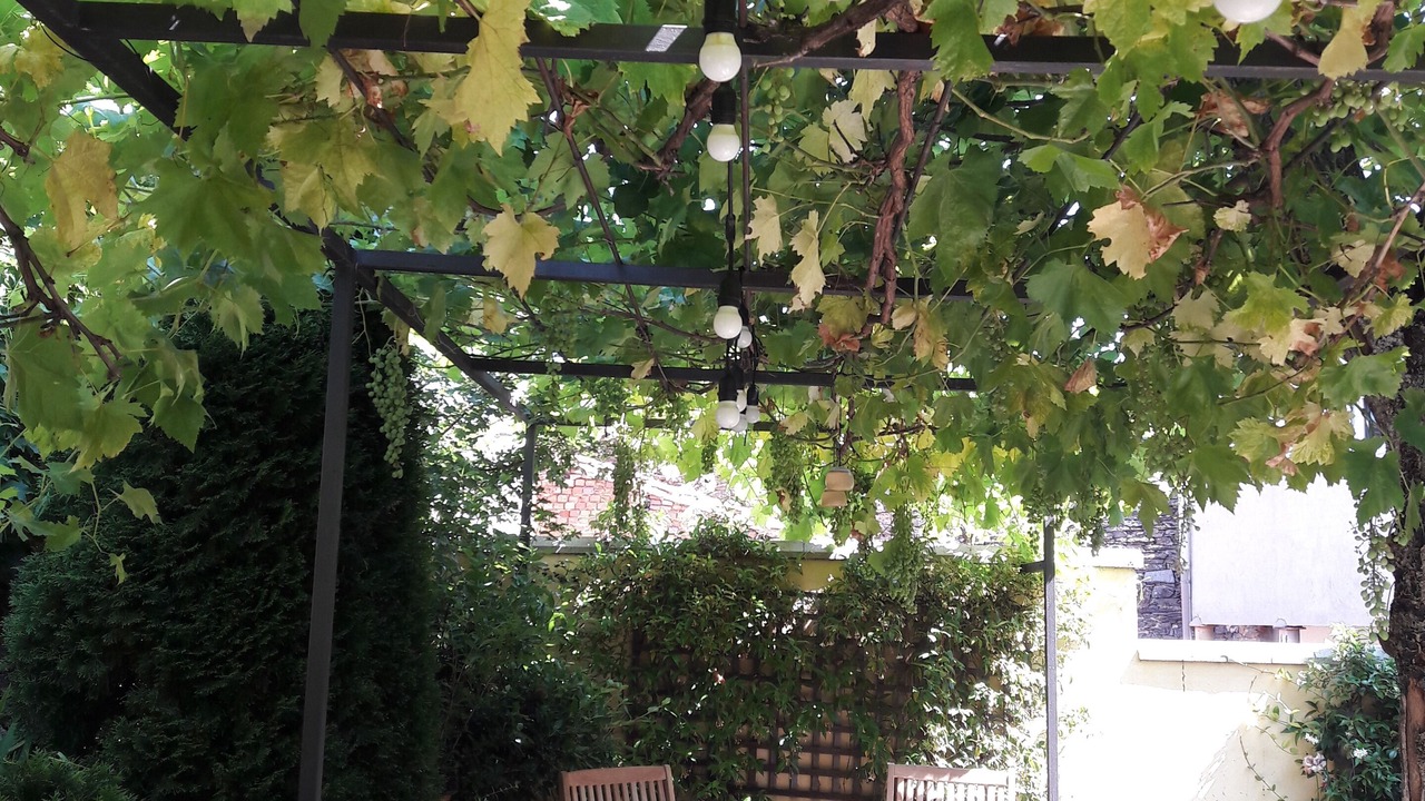 Photo of Outdoor in Hiendelaencina