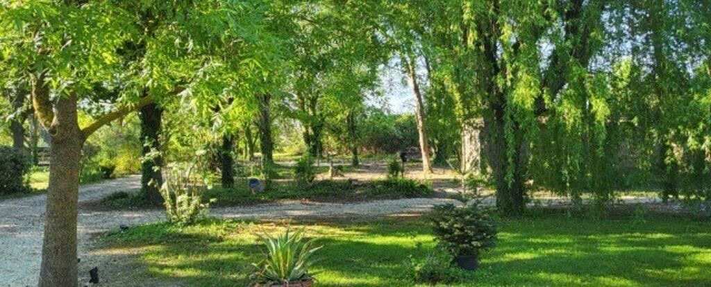 Photo of Outdoor in Noves