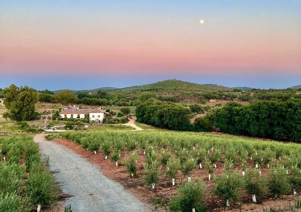 Photo of Outdoor in La Codosera