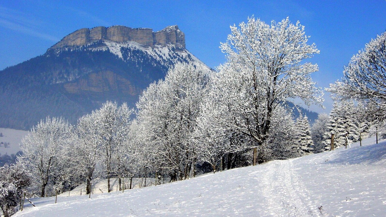 Photo of Others in Le Sappey-en-Chartreuse