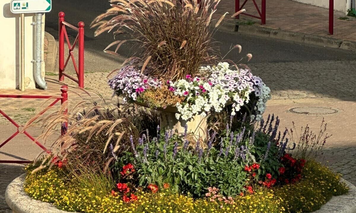 Photo of Outdoor in Clairac
