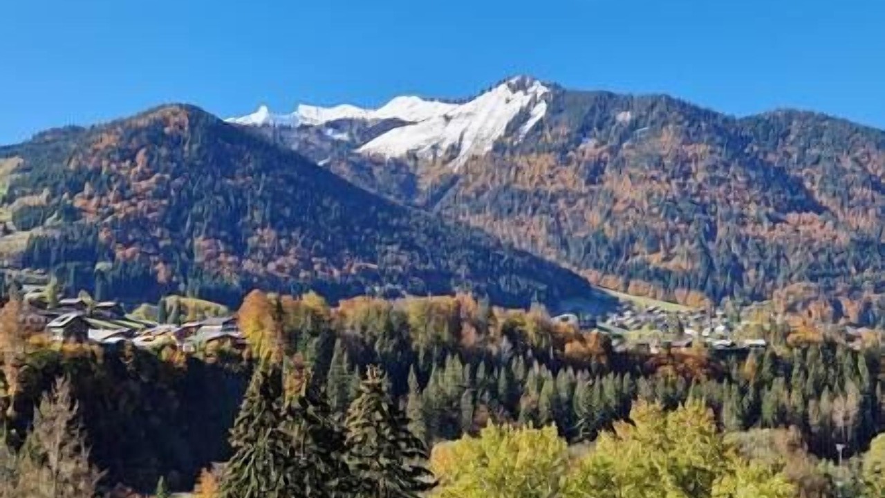 Photo of Patio Balcony in Montriond