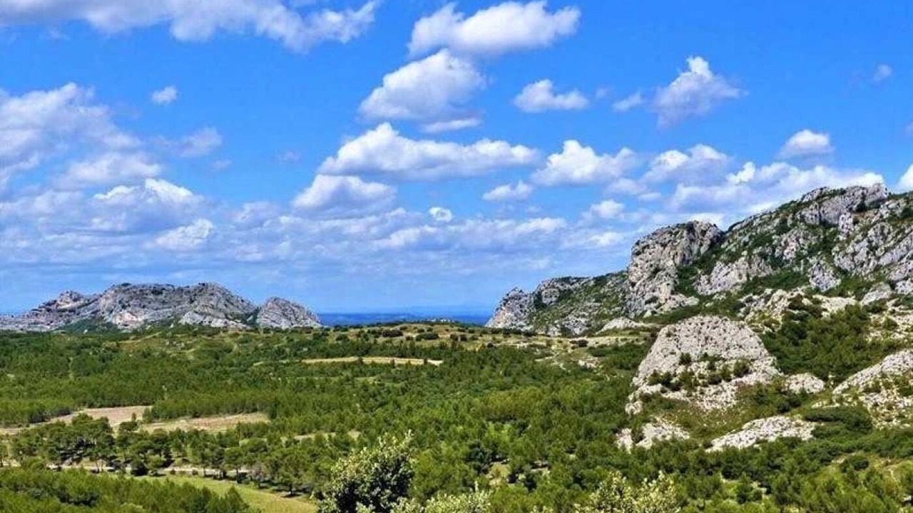 Photo of Others in Paluds de Noves