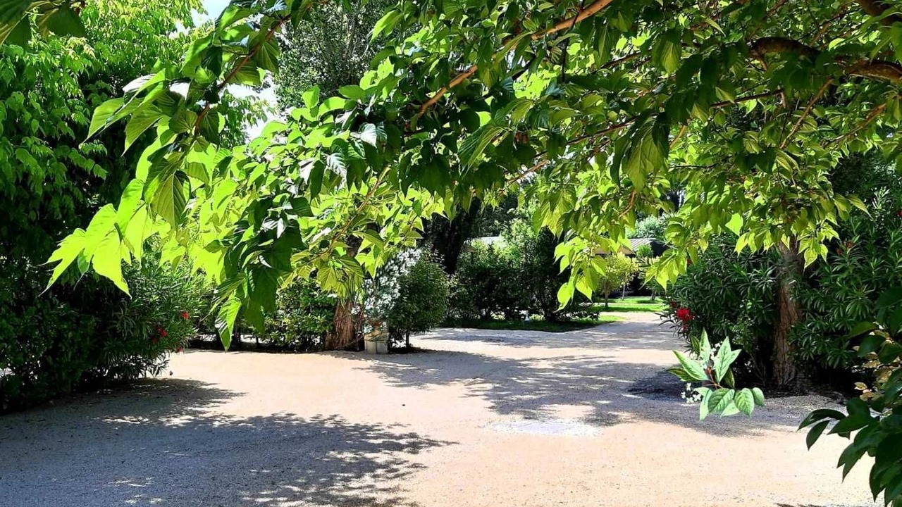 Photo of Outdoor in Paluds de Noves