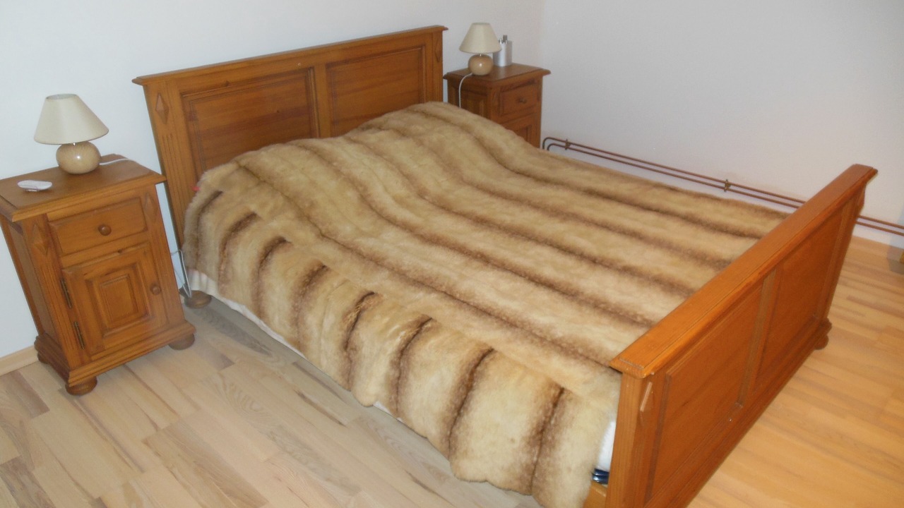 Photo of Bedroom in Bonlieu