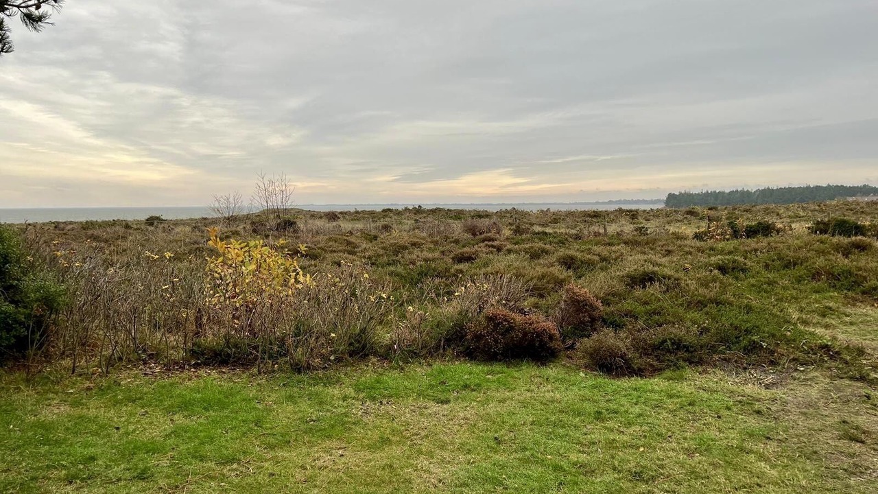 Photo of Others in Munkmarsch