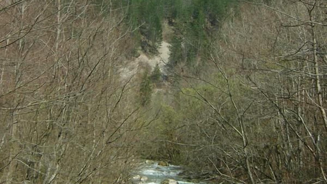 Photo of Others in Chezery Forens