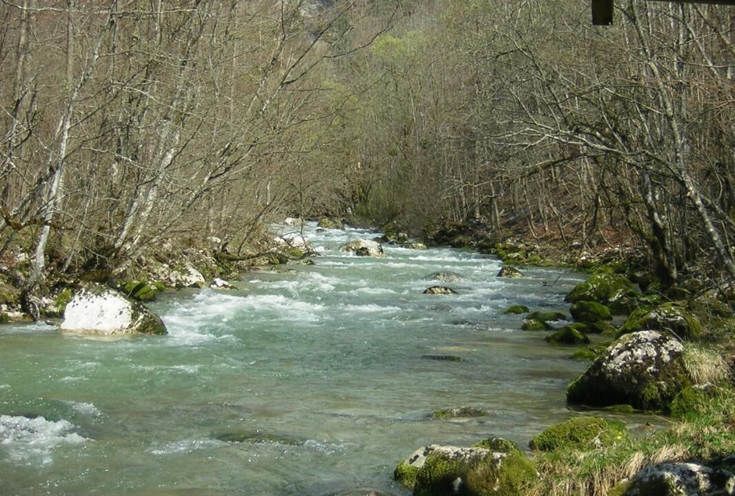 Photo of Outdoor in Chezery Forens