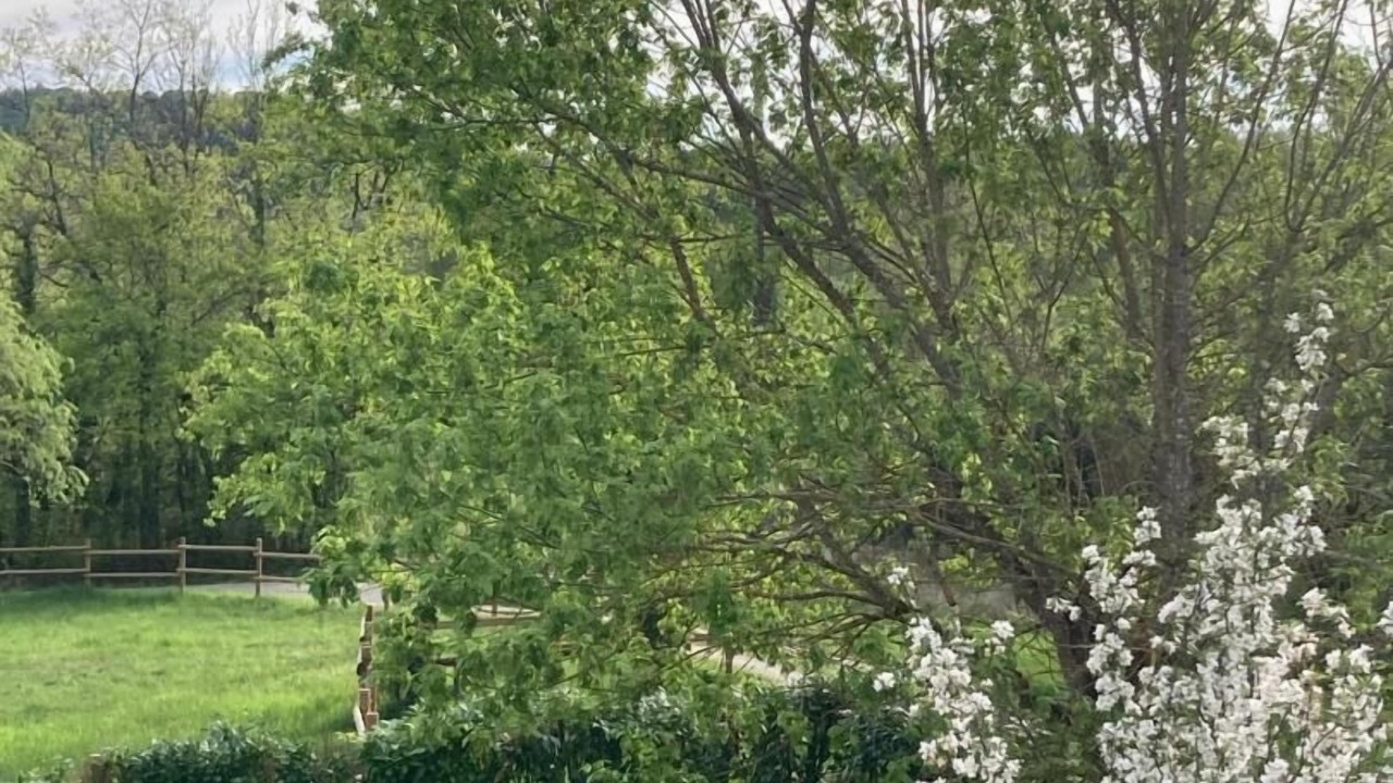Photo of Outdoor in Saint-Champ