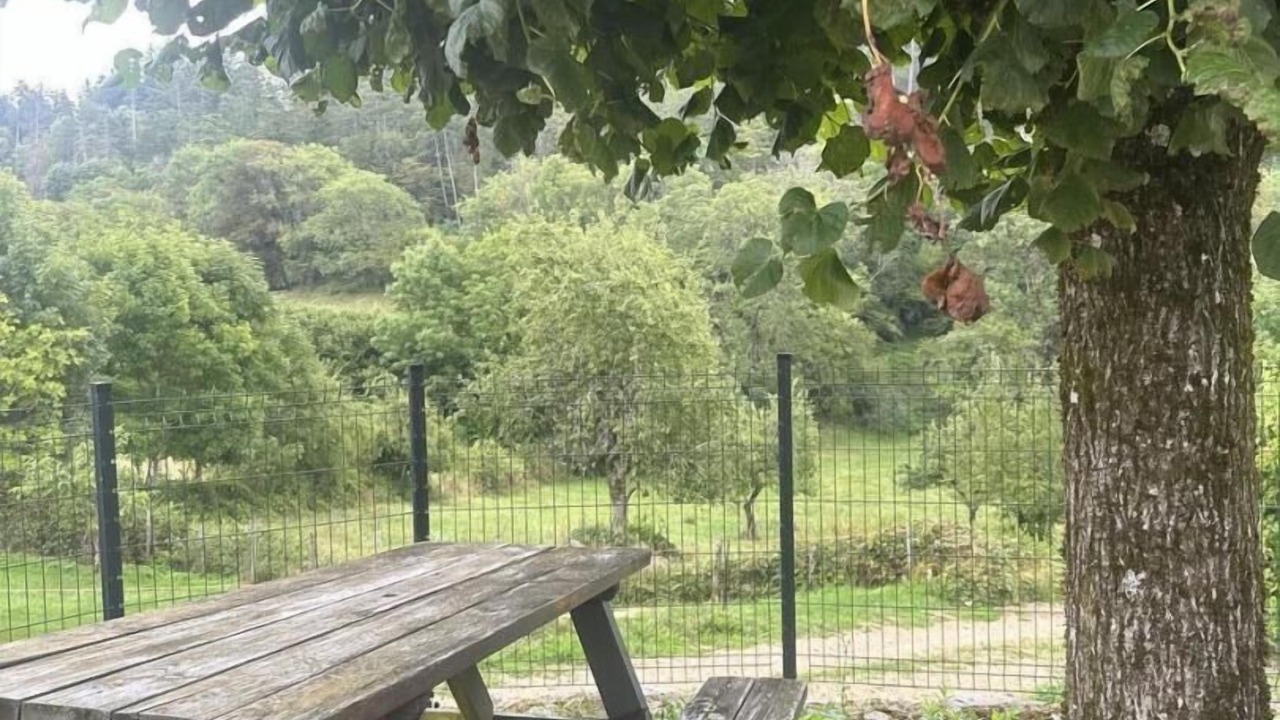 Photo of Outdoor in Sonthonnax-la-Montagne