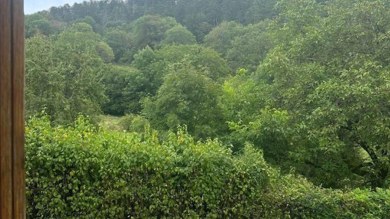 Photo of Others in Sonthonnax-la-Montagne