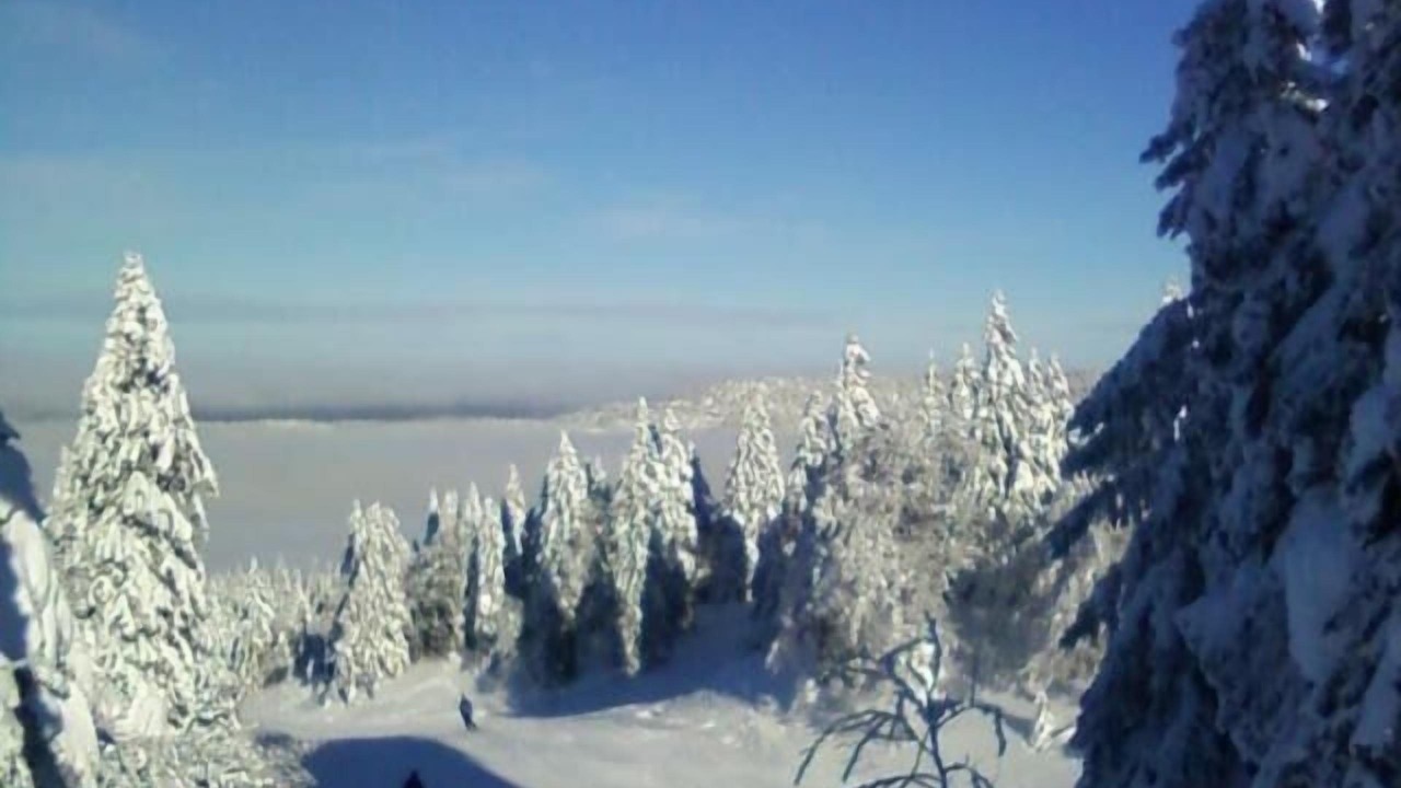 Photo of Others in Mijoux