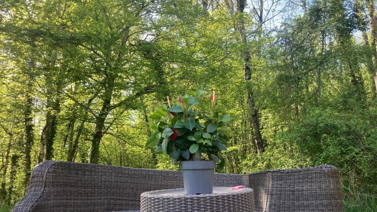 Photo of Outdoor in Saint-Champ