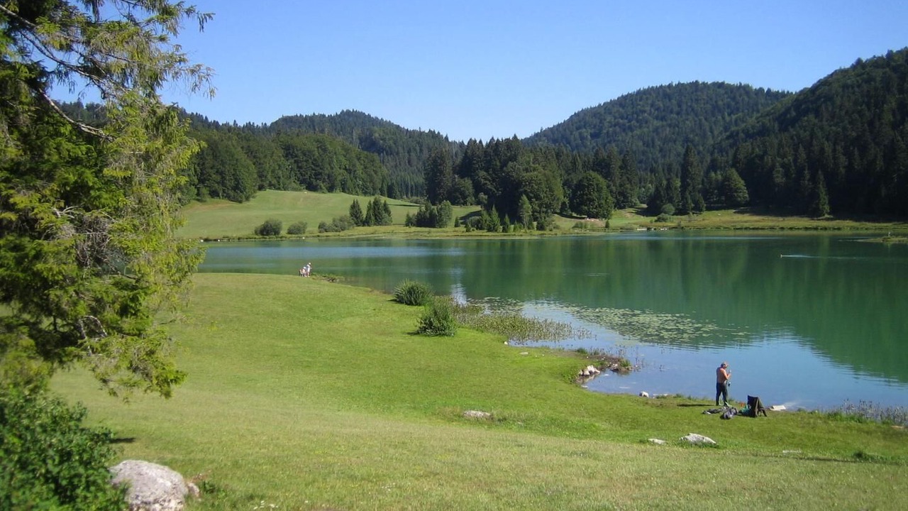 Photo of Others in Confort