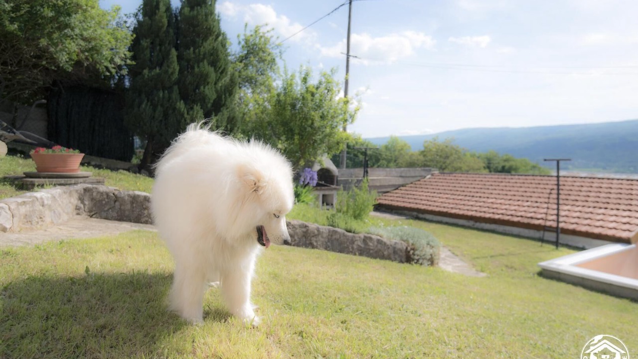 Photo of Outdoor in Confort