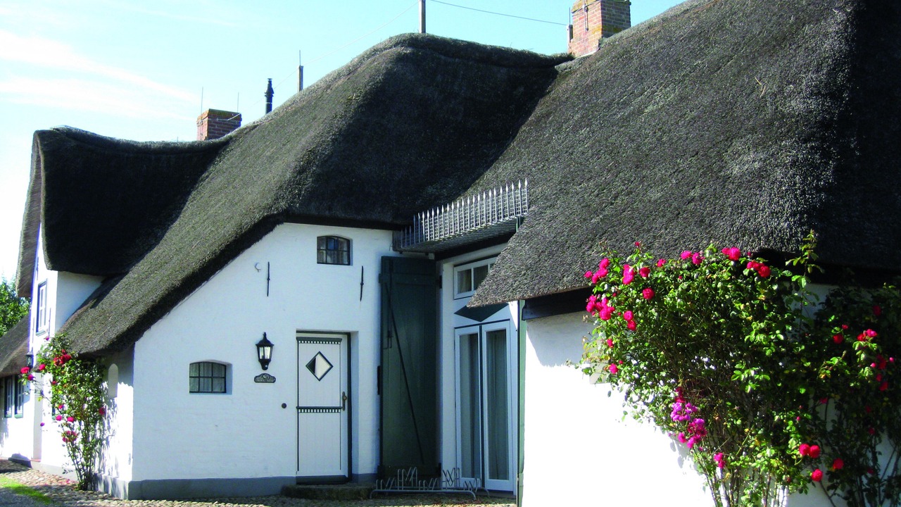 Photo of Outdoor in Midlum