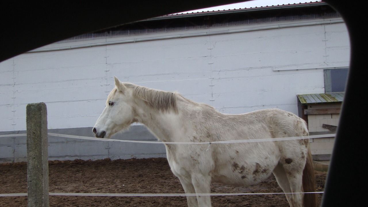 Photo of Others in Bismark