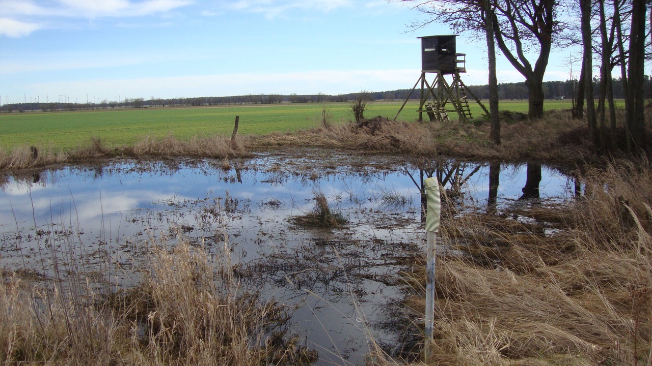Photo of Others in Bismark