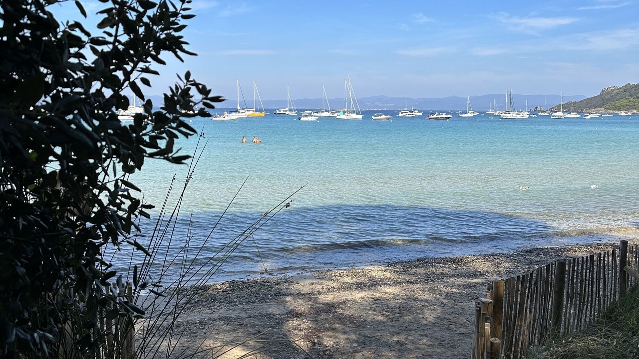 Photo of Others in Porquerolles