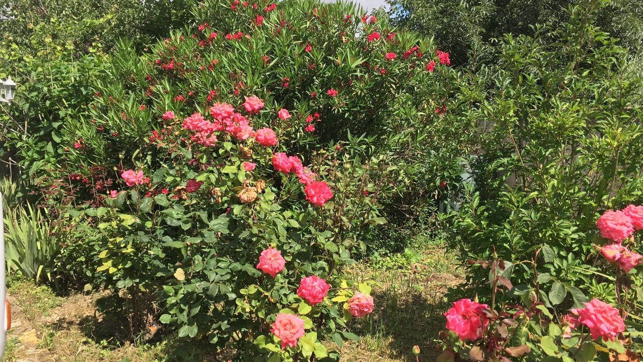 Photo of Outdoor in Saint-Saturnin-les-Avignon