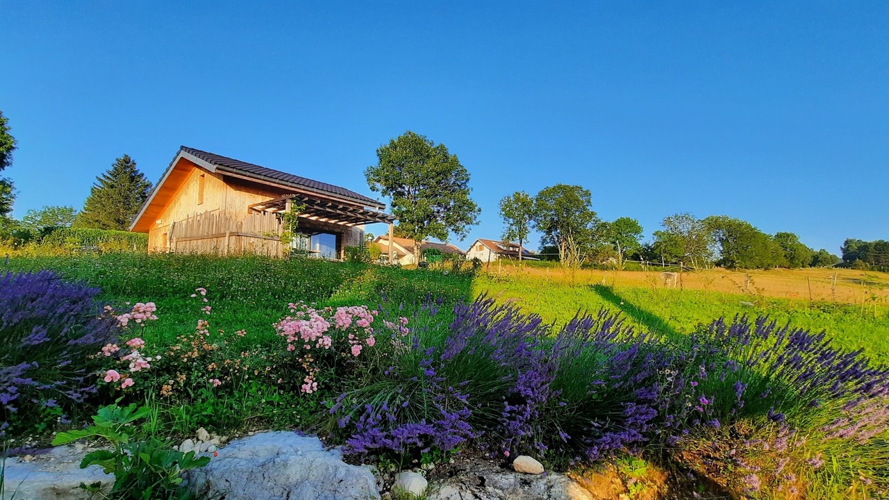 Photo of Outdoor in Charchilla